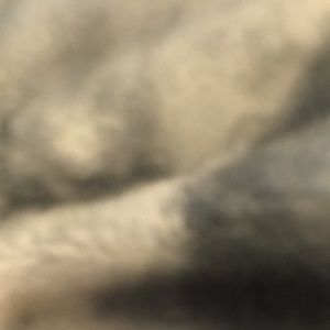 Meet your Posher, Layla